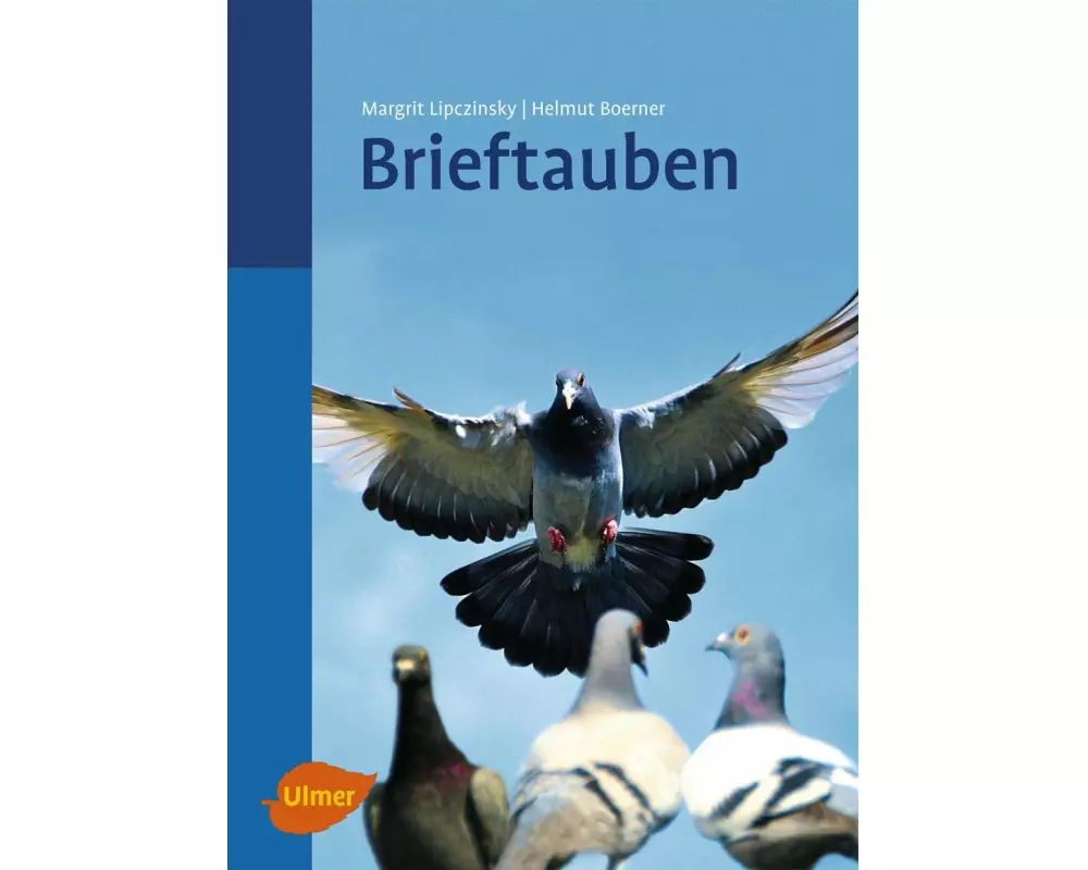 Brieftauben