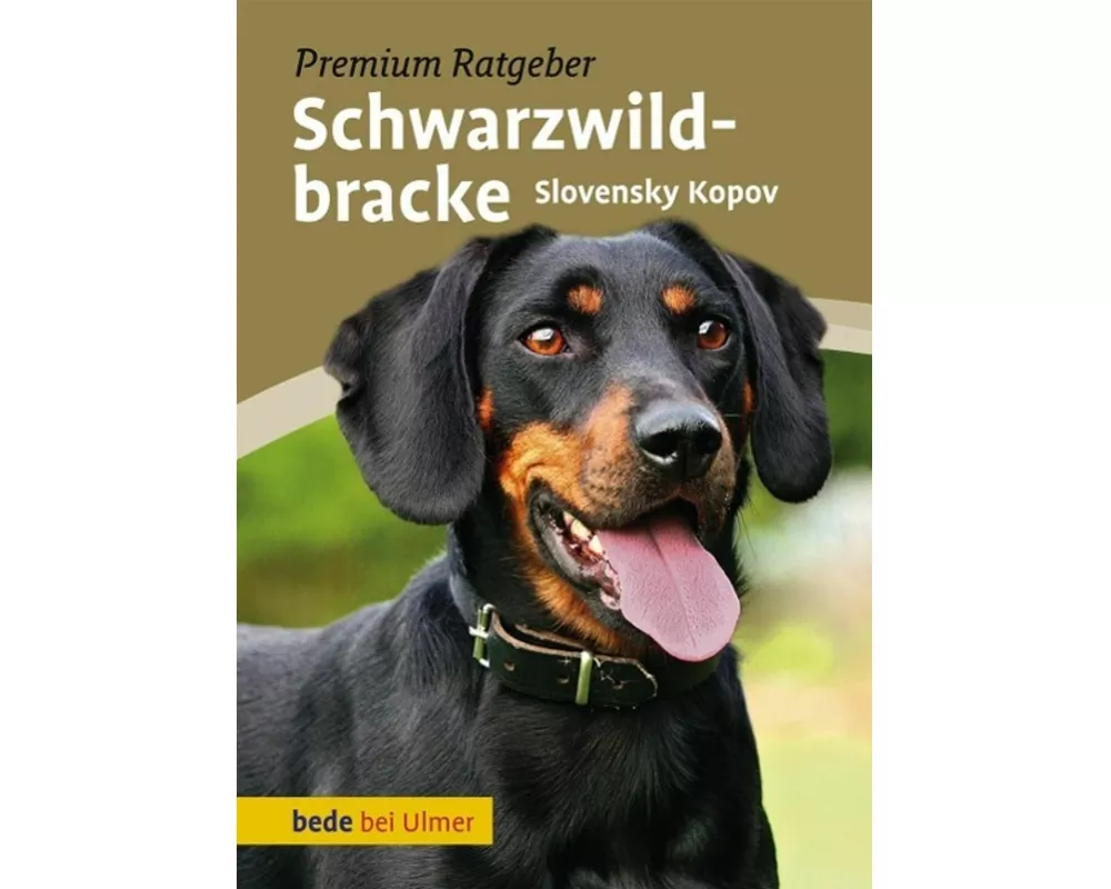 Schwarzwildbracke