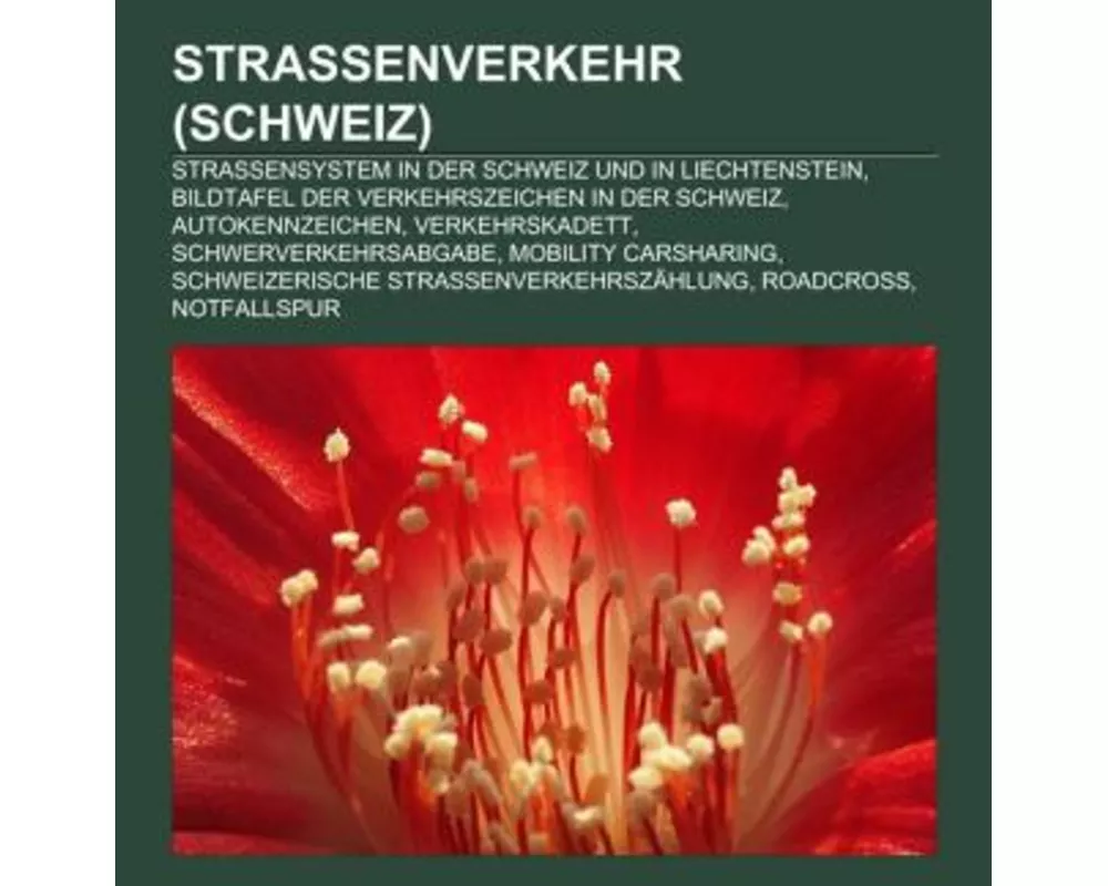 Strassenverkehr (Schweiz)