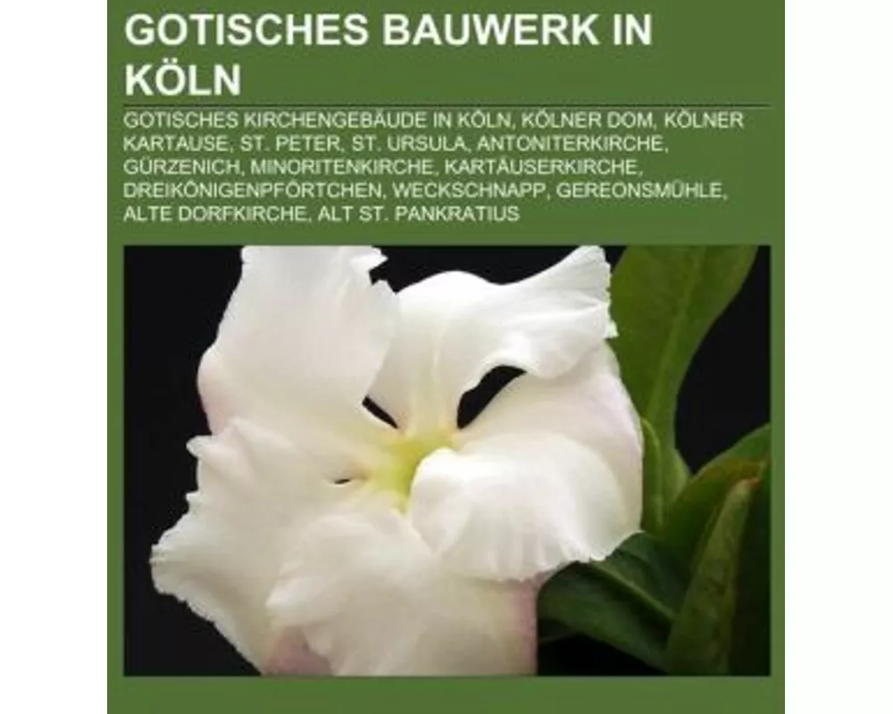 Gotisches Bauwerk in Kln