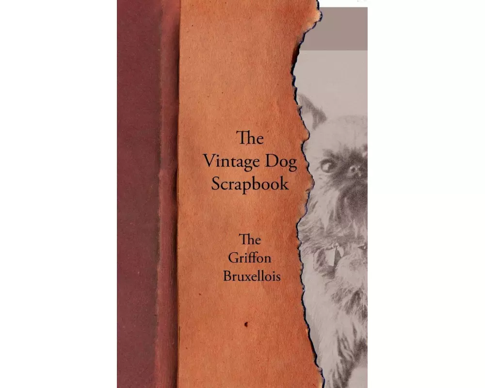 The Vintage Dog Scrapbook - The Griffon Bruxellois