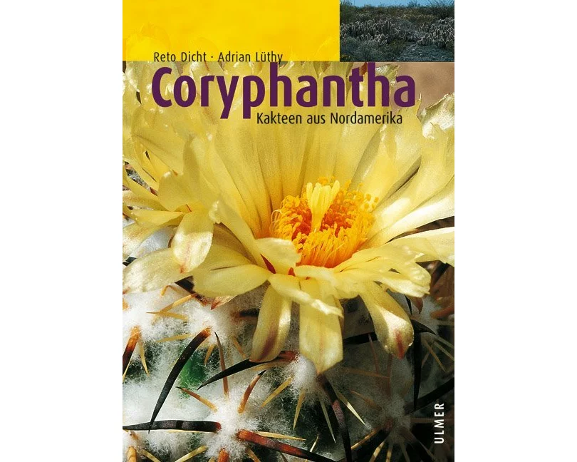 Coryphantha