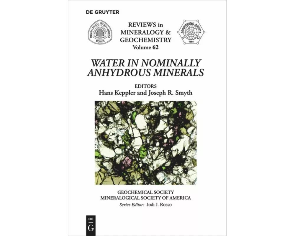 Water in Nominally Anhydrous Minerals