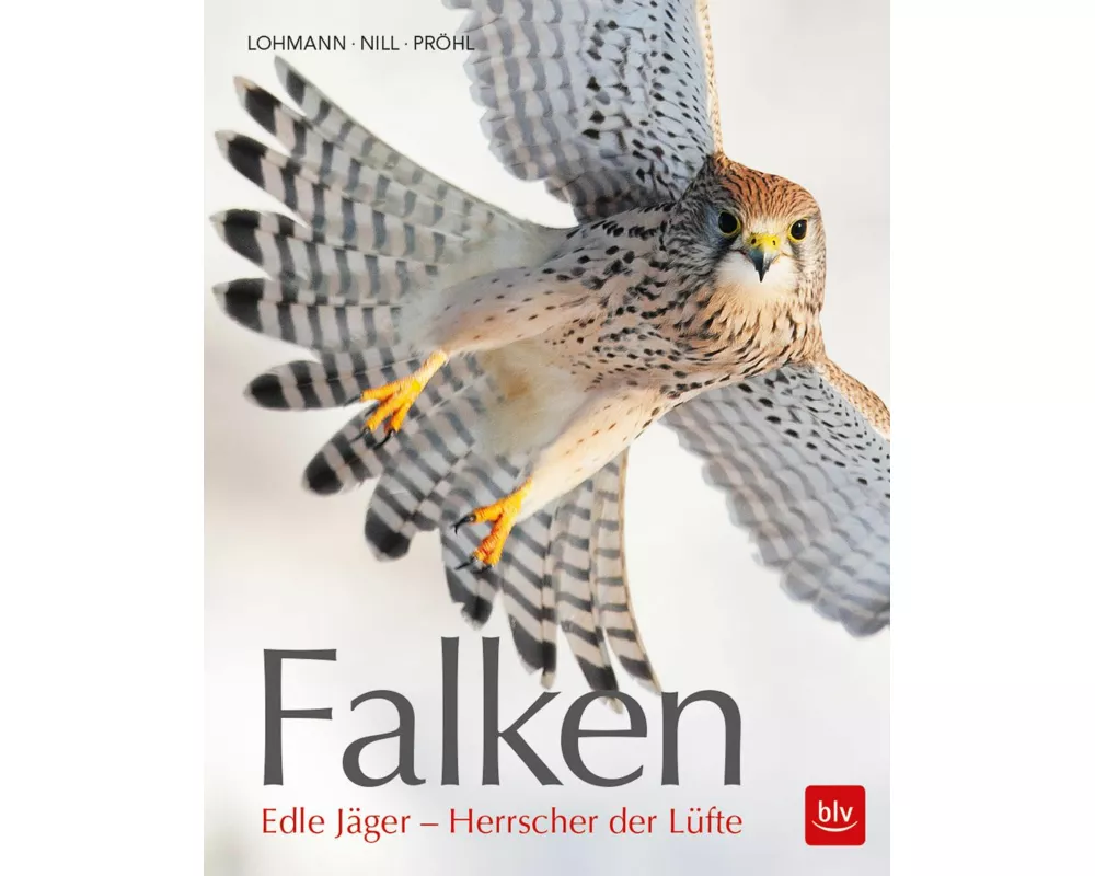 Falken