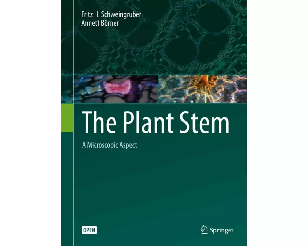 The Plant Stem