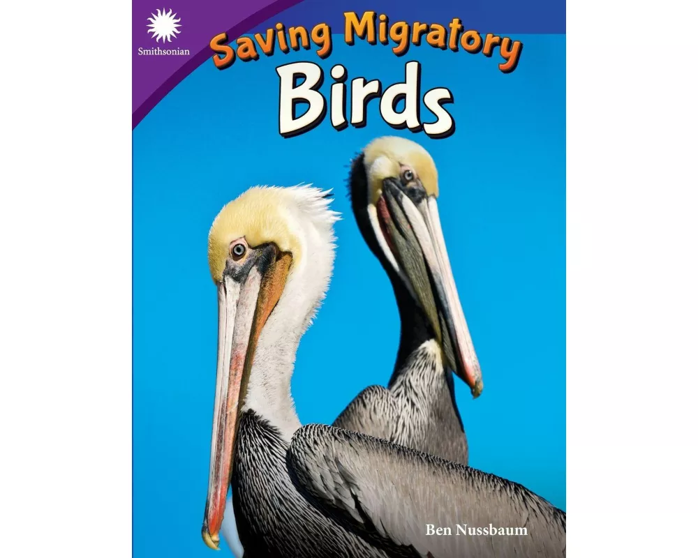 Saving Migratory Birds