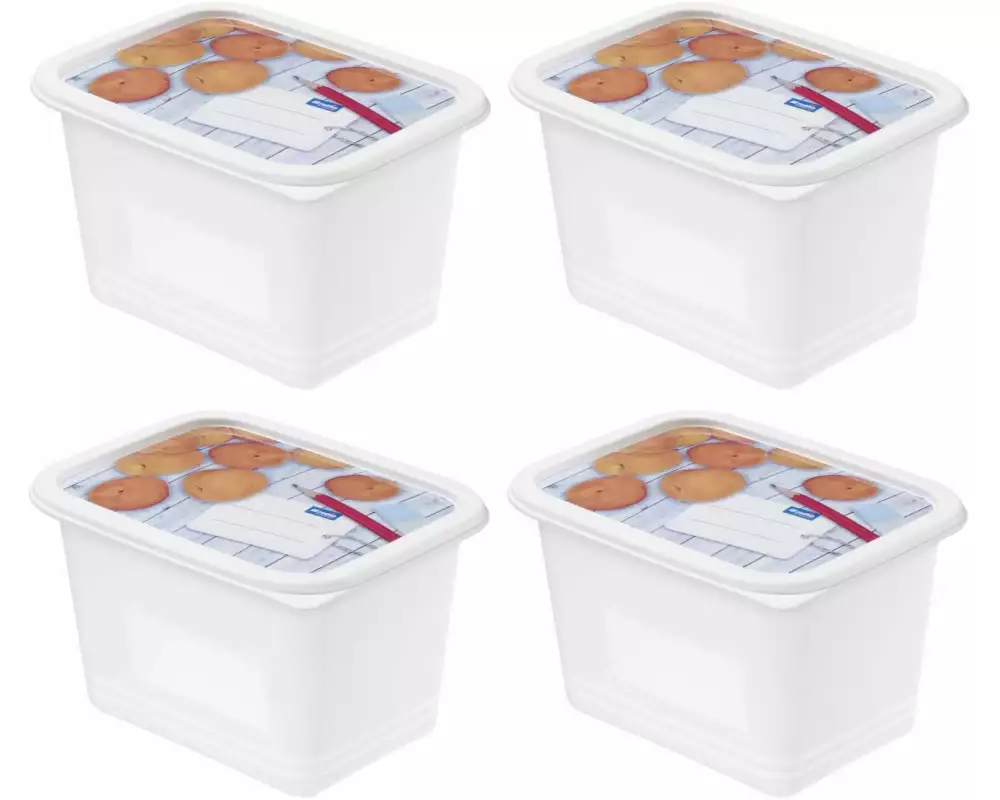 Rotho Vorratsbehälter Domino Dekor 4 Stück, 1 l, Transparent