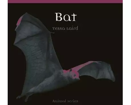 Bat