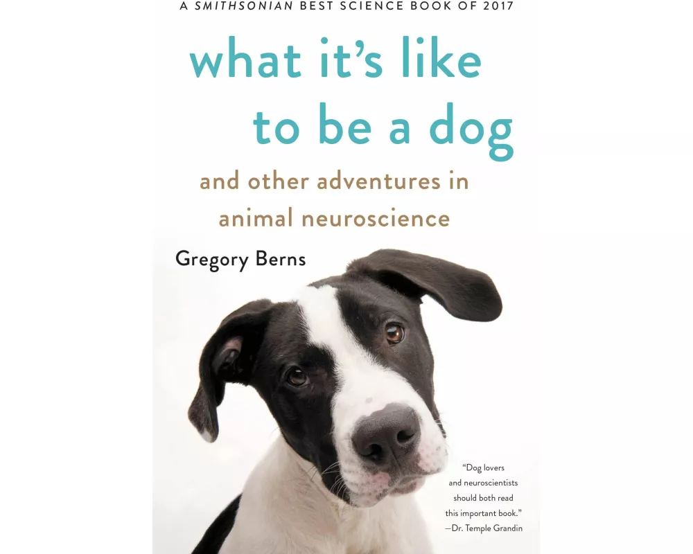 What It's Like to Be a Dog