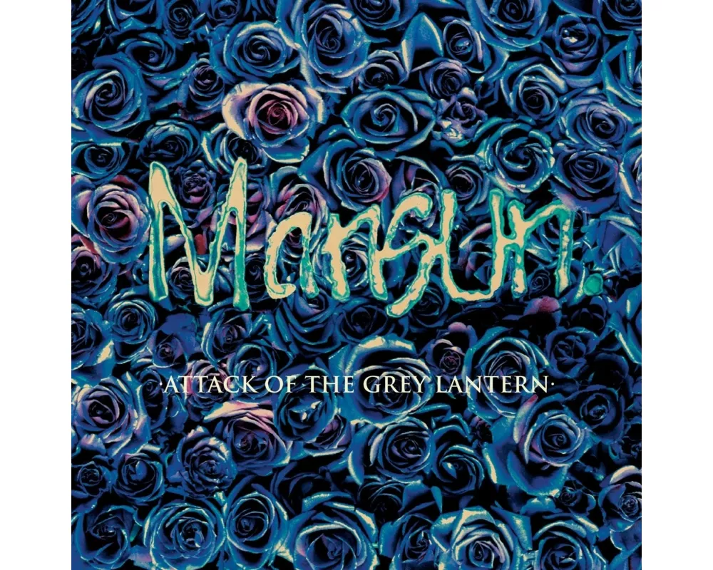 Attack Of The Grey Lantern