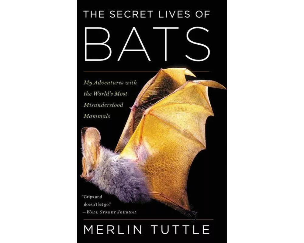 The Secret Lives of Bats