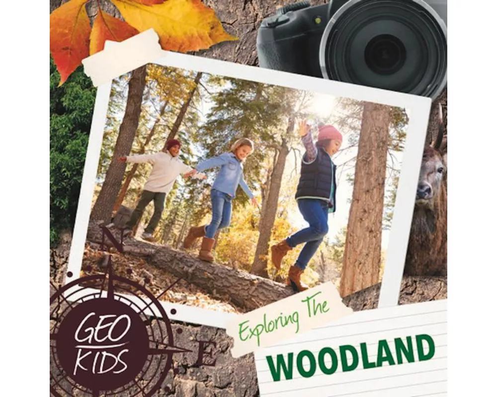 Exploring the Woodland