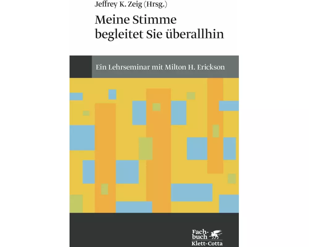 Meine Stimme begleitet Sie überall hin (Konzepte der Humanwissenschaften)