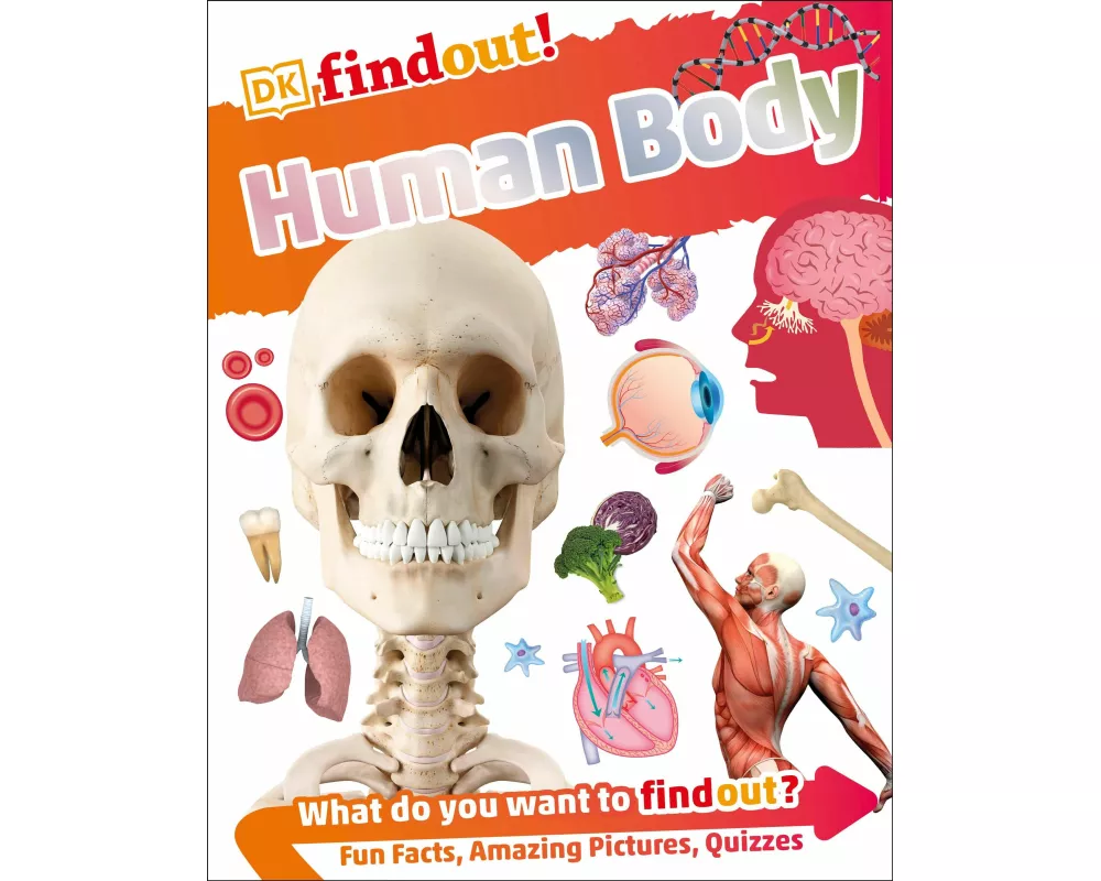 DKfindout! Human Body