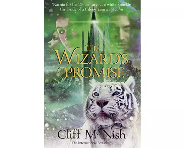 The Wizard's Promise