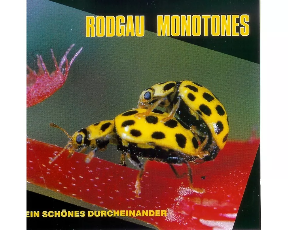 Ein Schönes Durcheinander