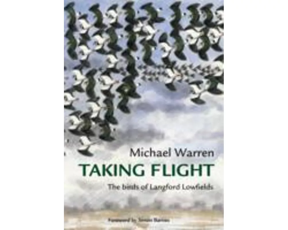 Taking Flight