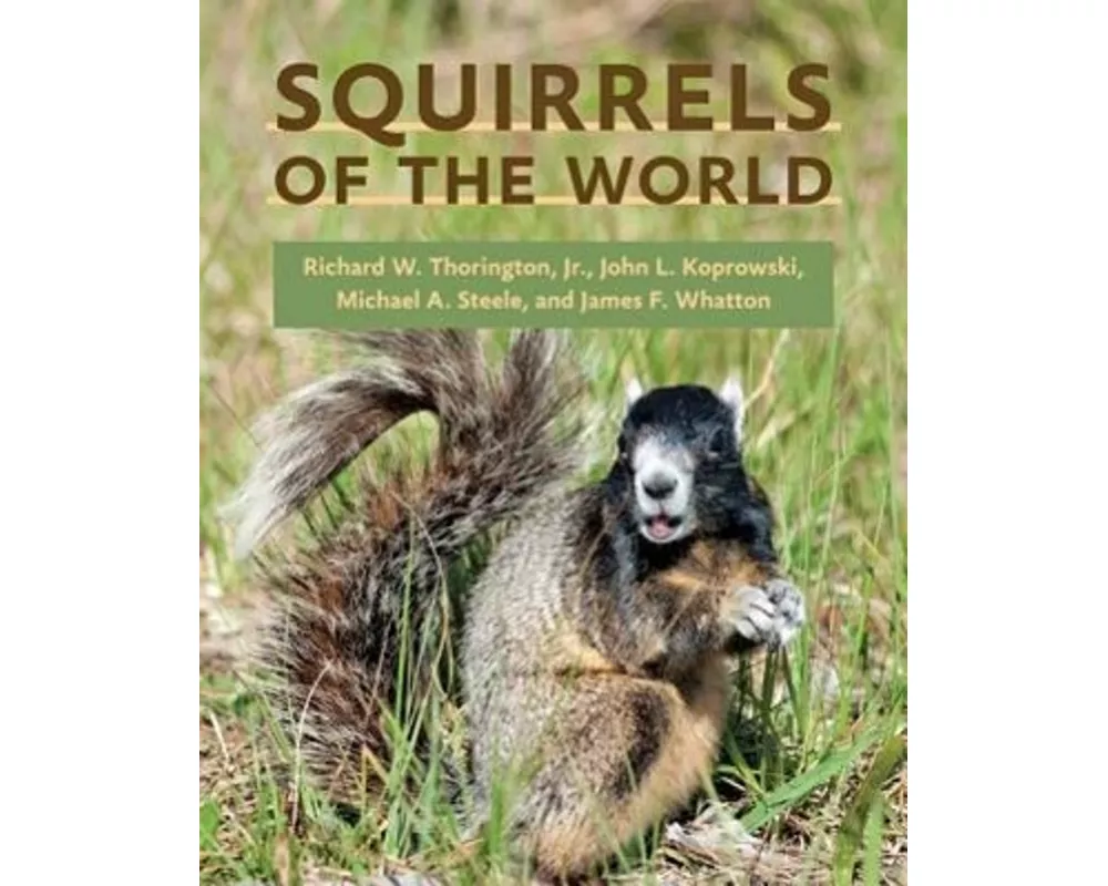 Squirrels of the World
