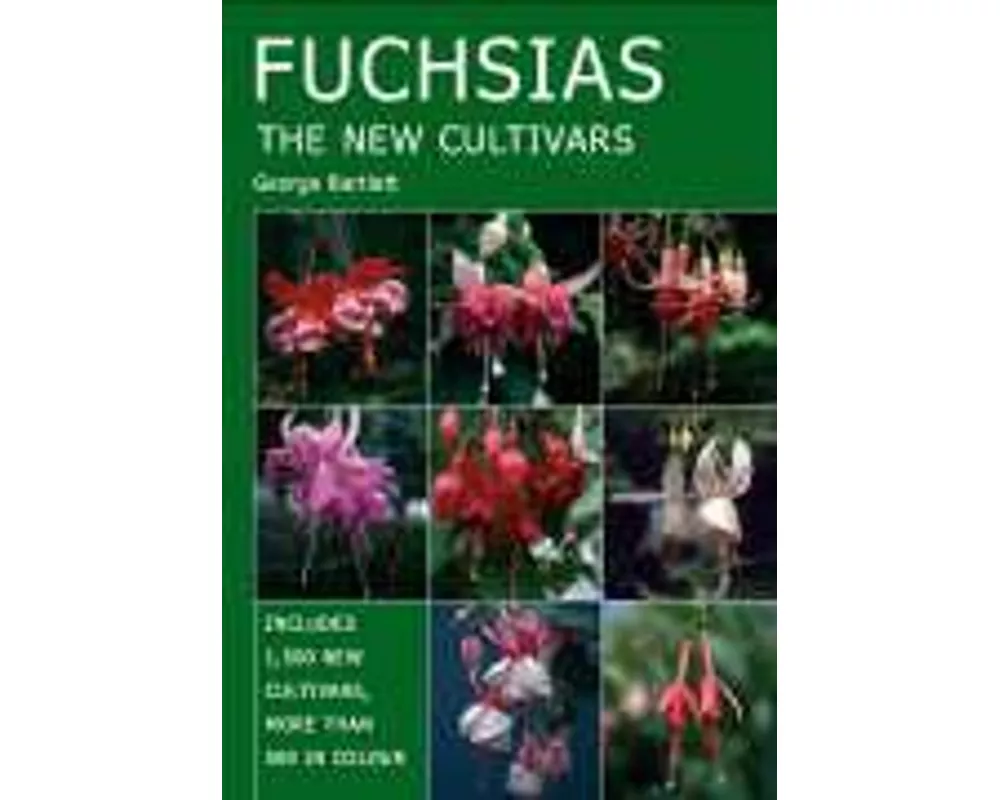 Fuchsias
