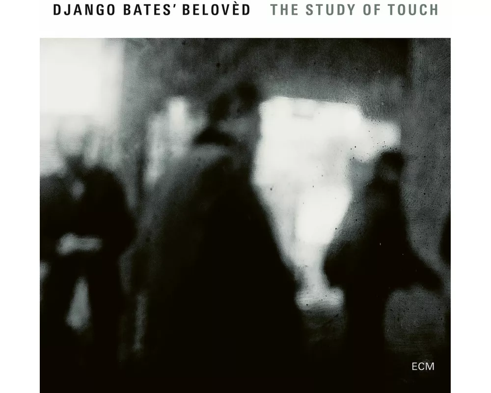 The Study Of Touch