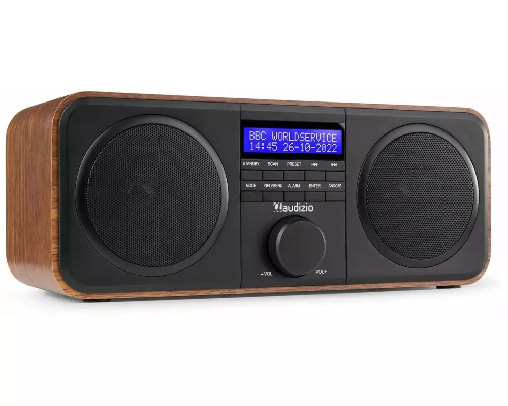 Audizio DAB+ Radio Novara Holzoptik