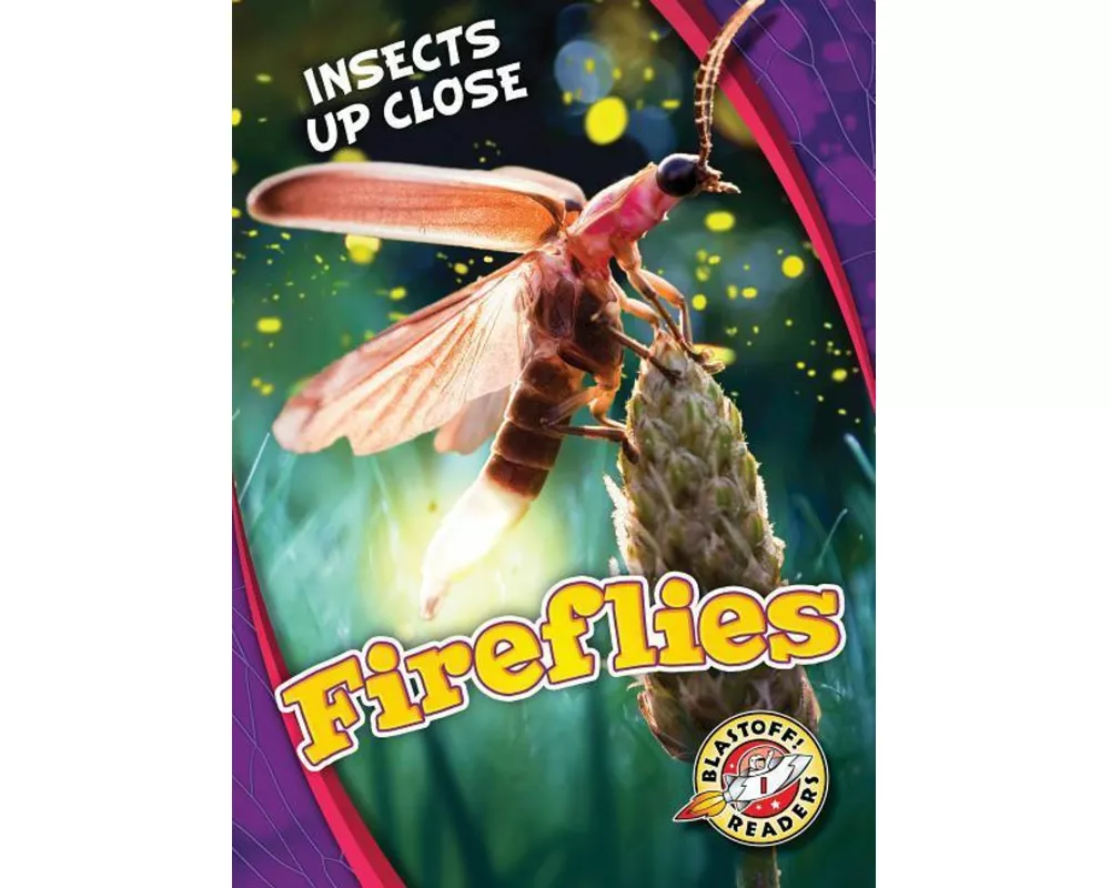 Fireflies