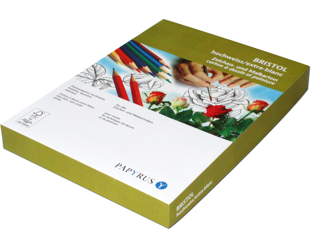 PAPYRUS Karton Bristol 50x70cm 88249314 160g, weiss 10 Blatt