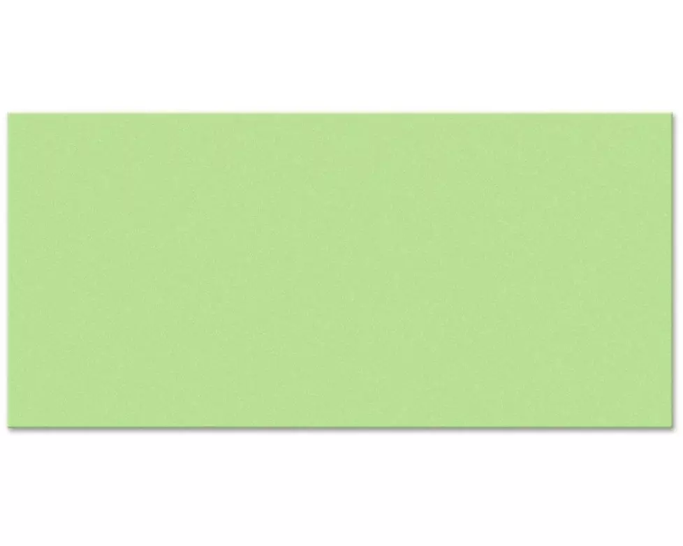 Legamaster Moderationskarten 9.5 x 20 cm, Grün, 250 Stück