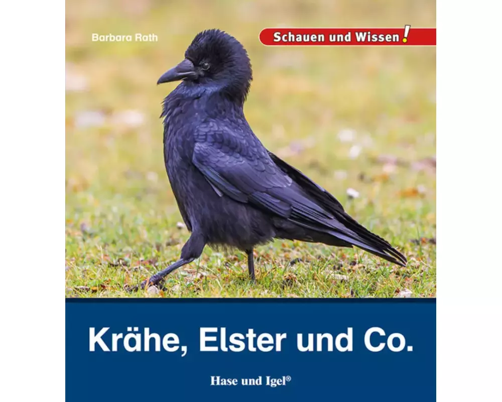 Krähe, Elster und Co