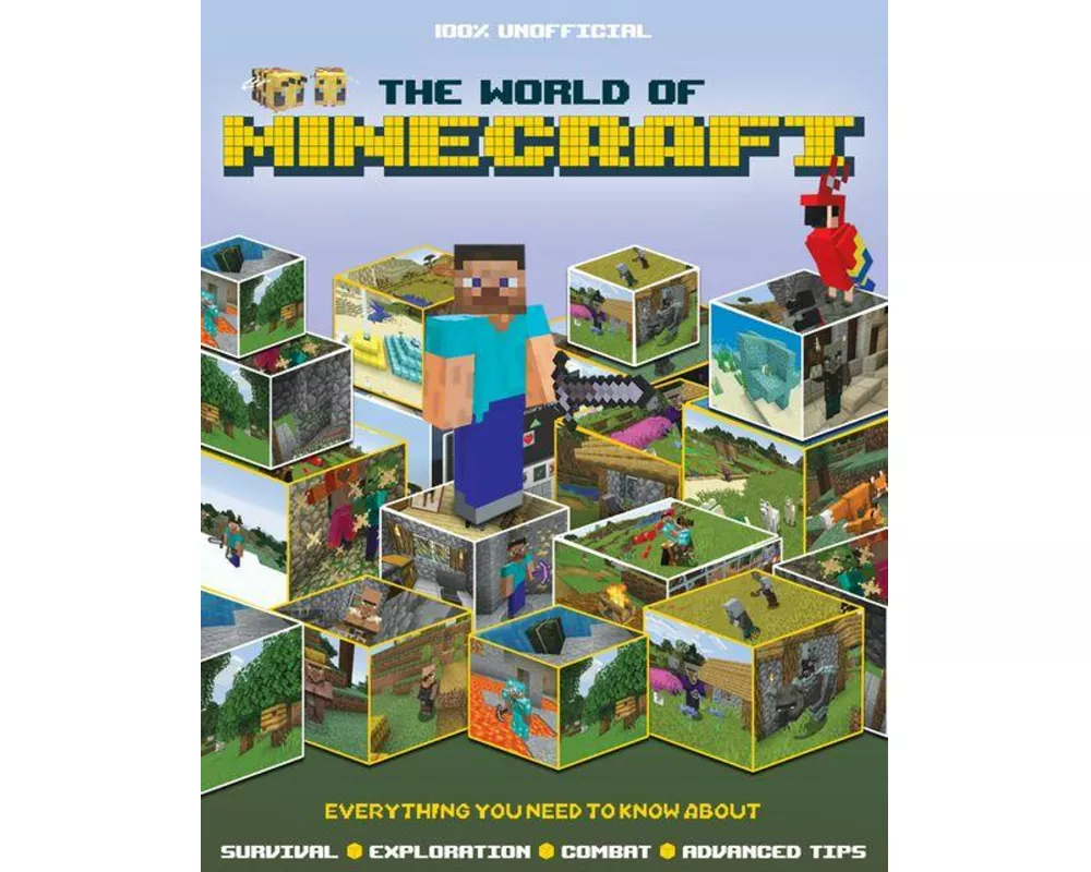 The World of Minecraft
