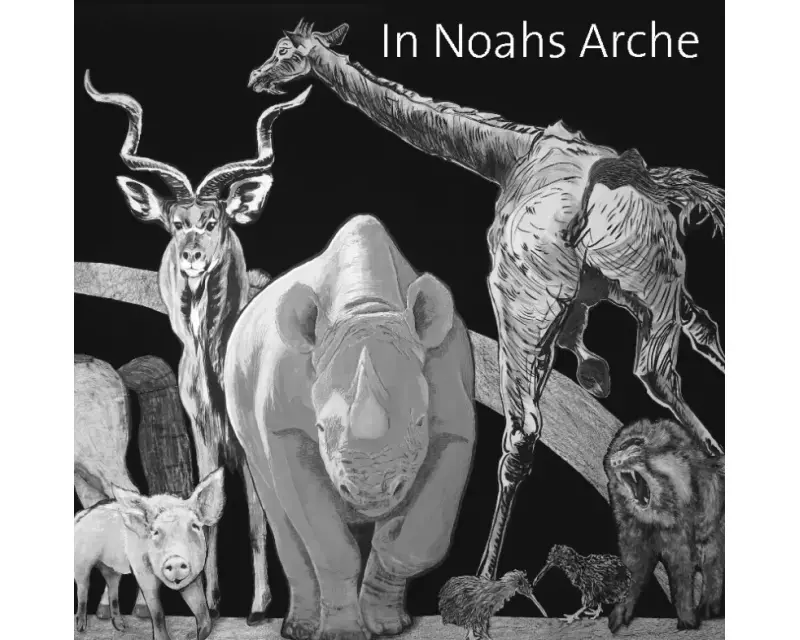 In Noahs Arche