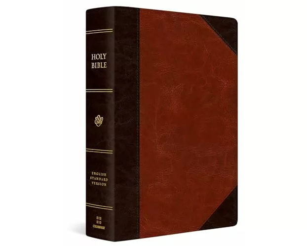 ESV Super Giant Print Bible