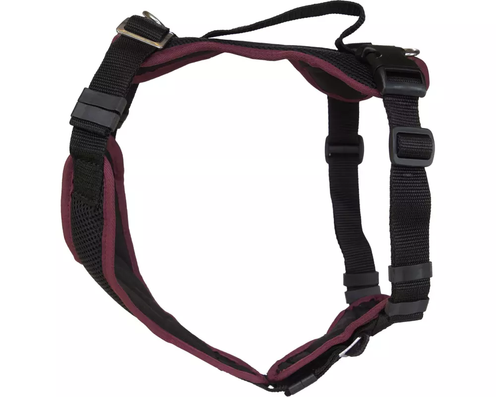 Grossenbacher Welpengeschirr Popp-it, Bordeaux