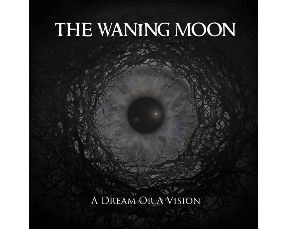 A Dream Or A Vision