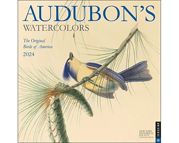 Audubon's Watercolors 2024 Wall Calendar