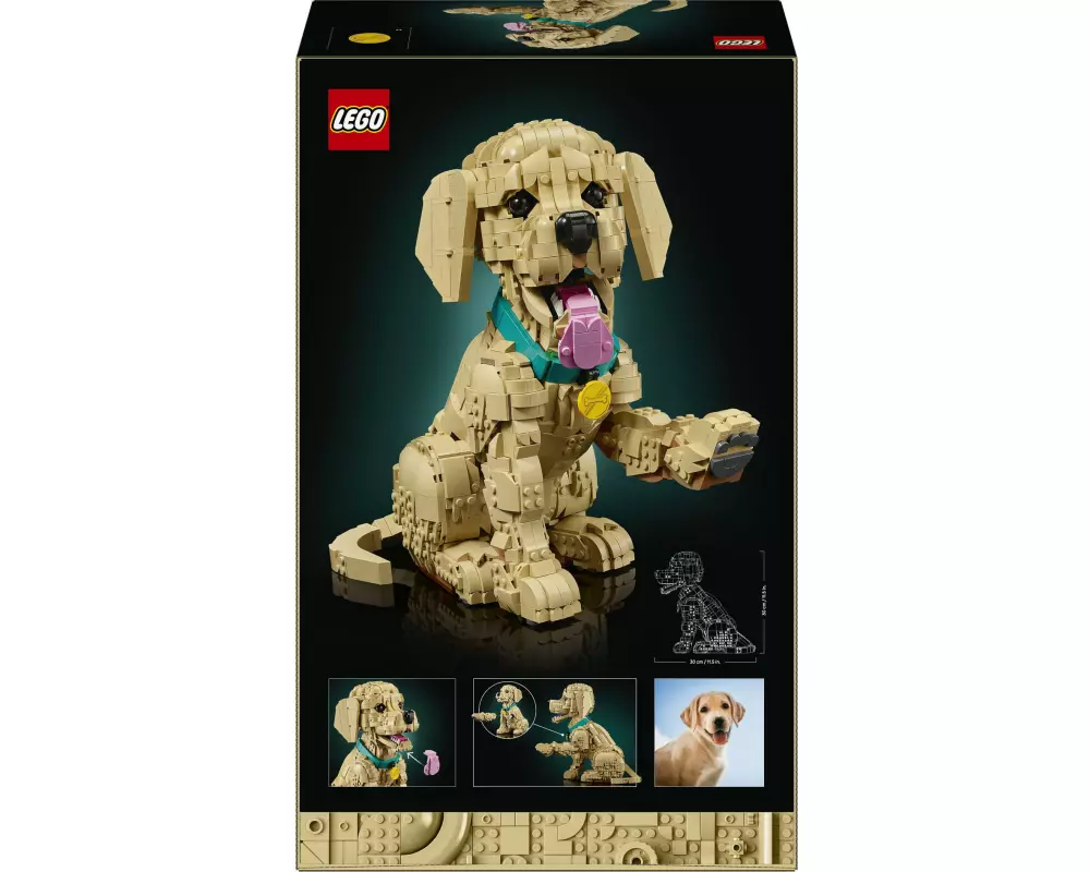 LEGO Icons Golden Retriever Welpe 11384