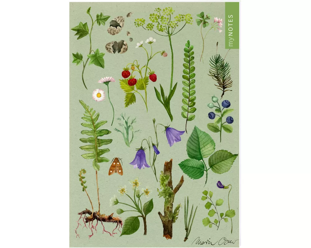 myNOTES Papeterie: Notizheft Naturschätze