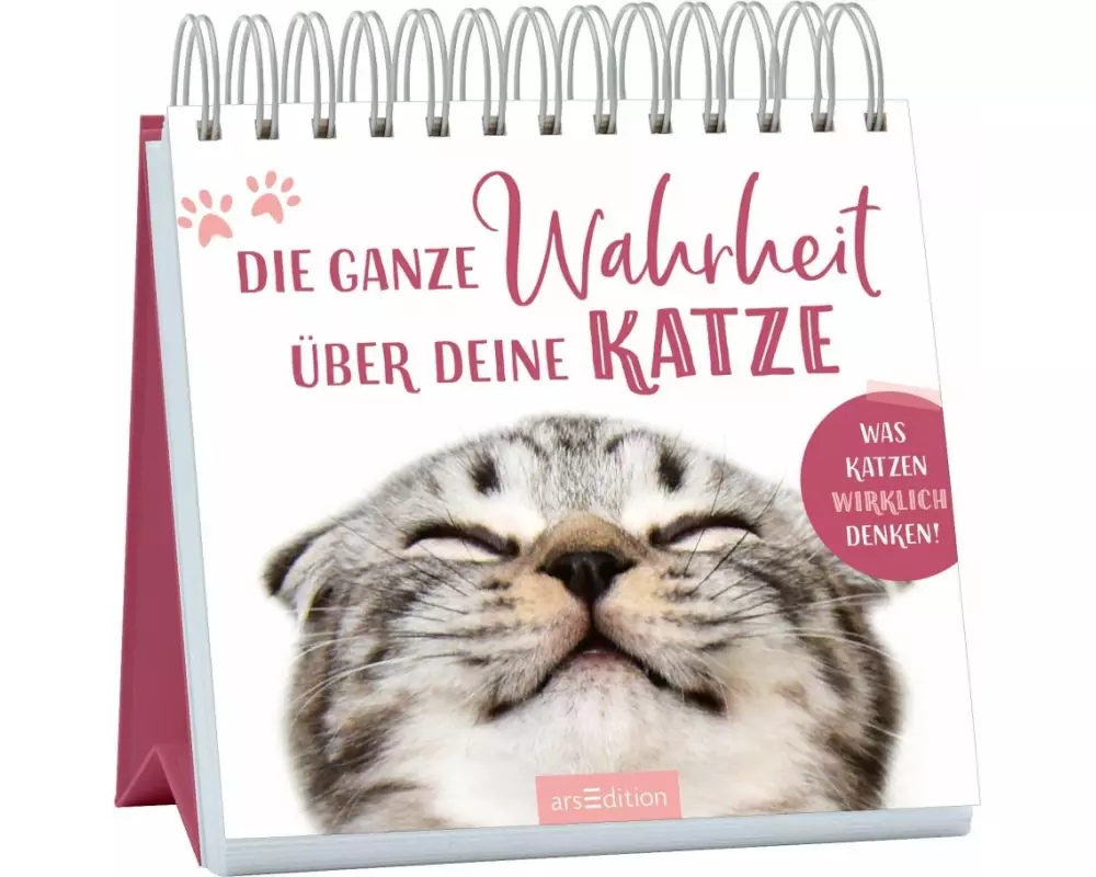Die ganze Wahrheit über deine Katze