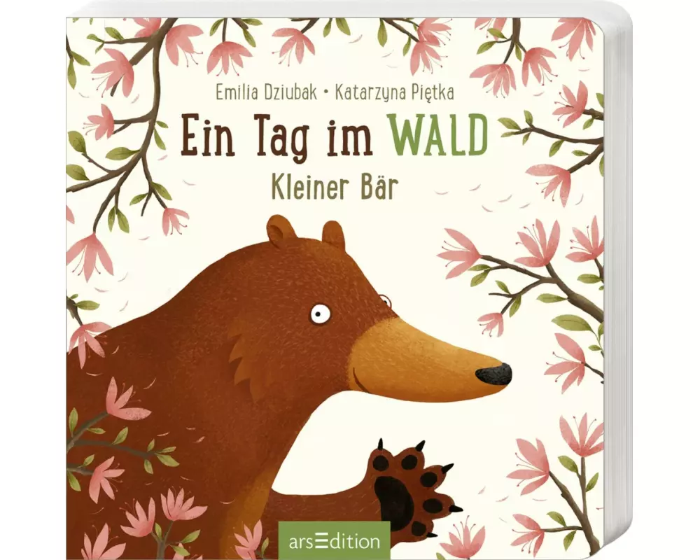Ein Tag im Wald: Kleiner Bär