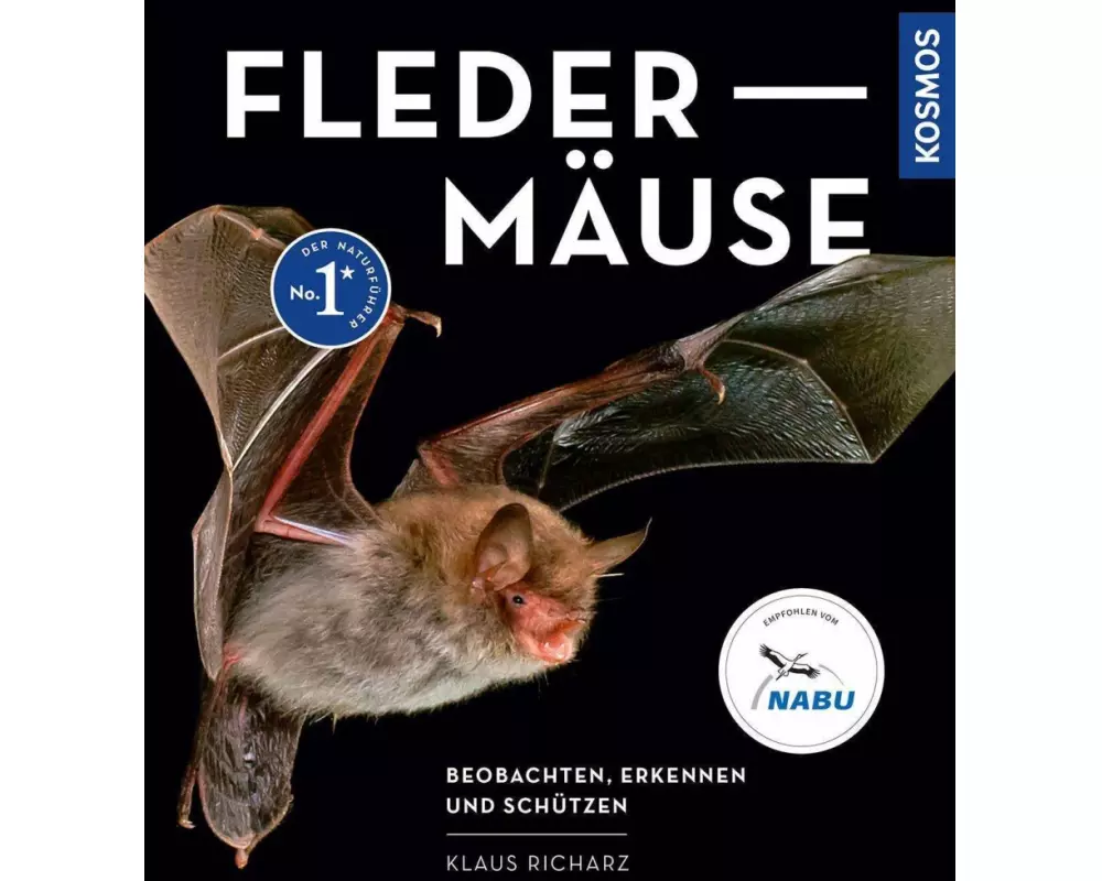 Fledermäuse