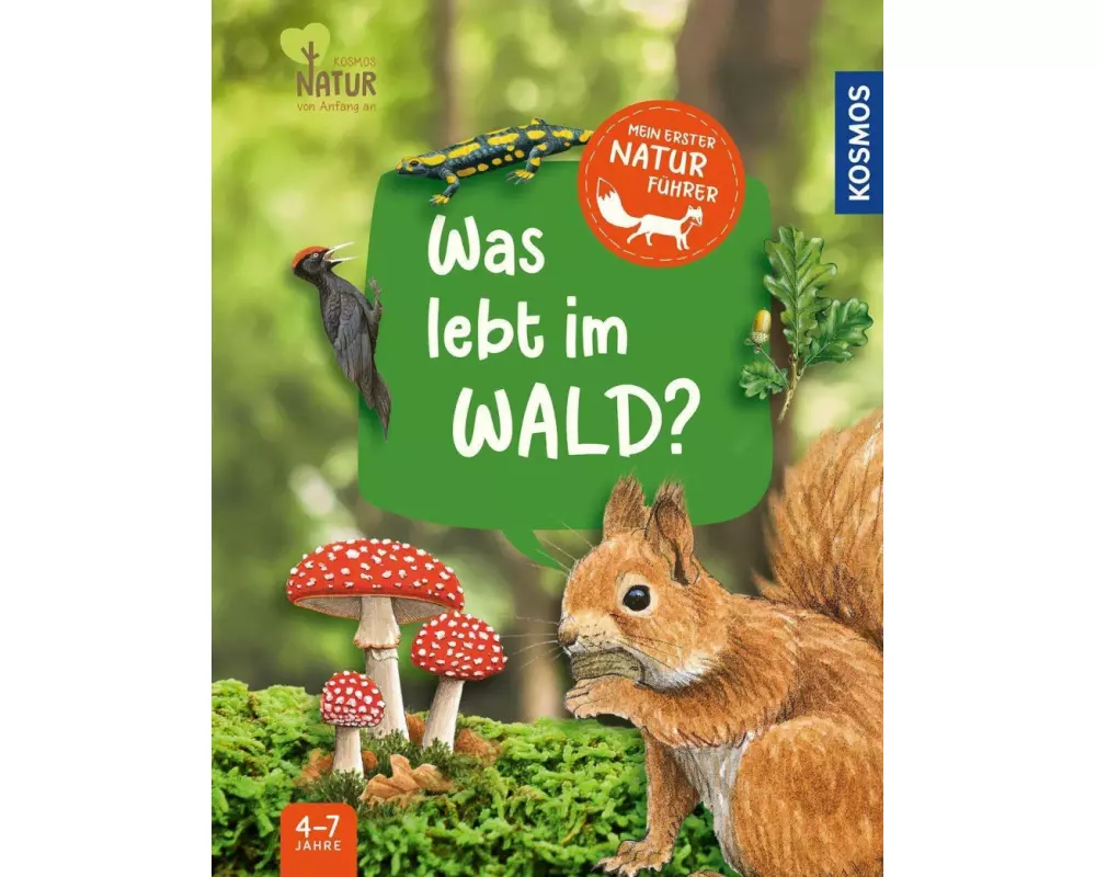 Mein erster Naturführer, Was lebt im Wald?