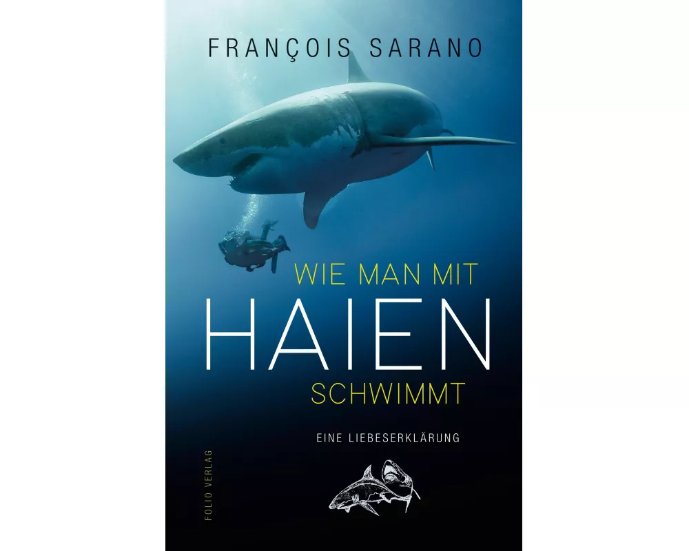 Wie man mit Haien schwimmt