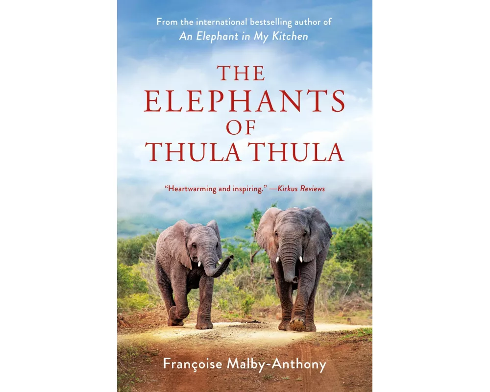 The Elephants of Thula Thula
