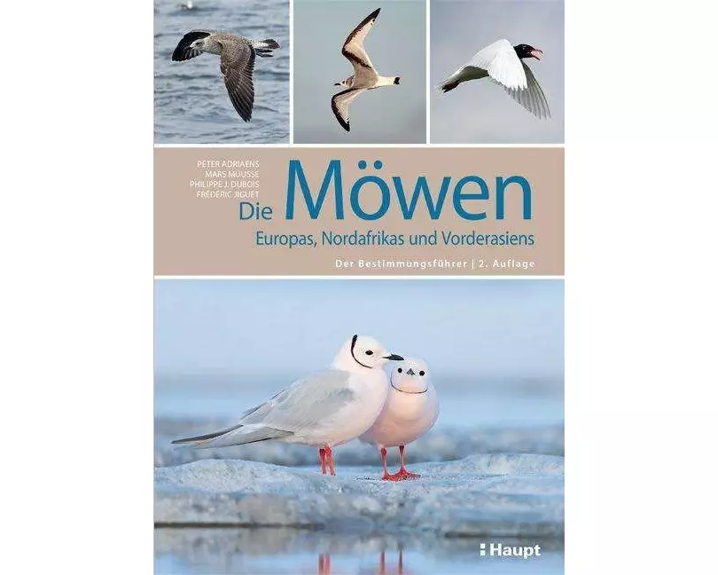 Die Möwen Europas, Nordafrikas und Vorderasiens