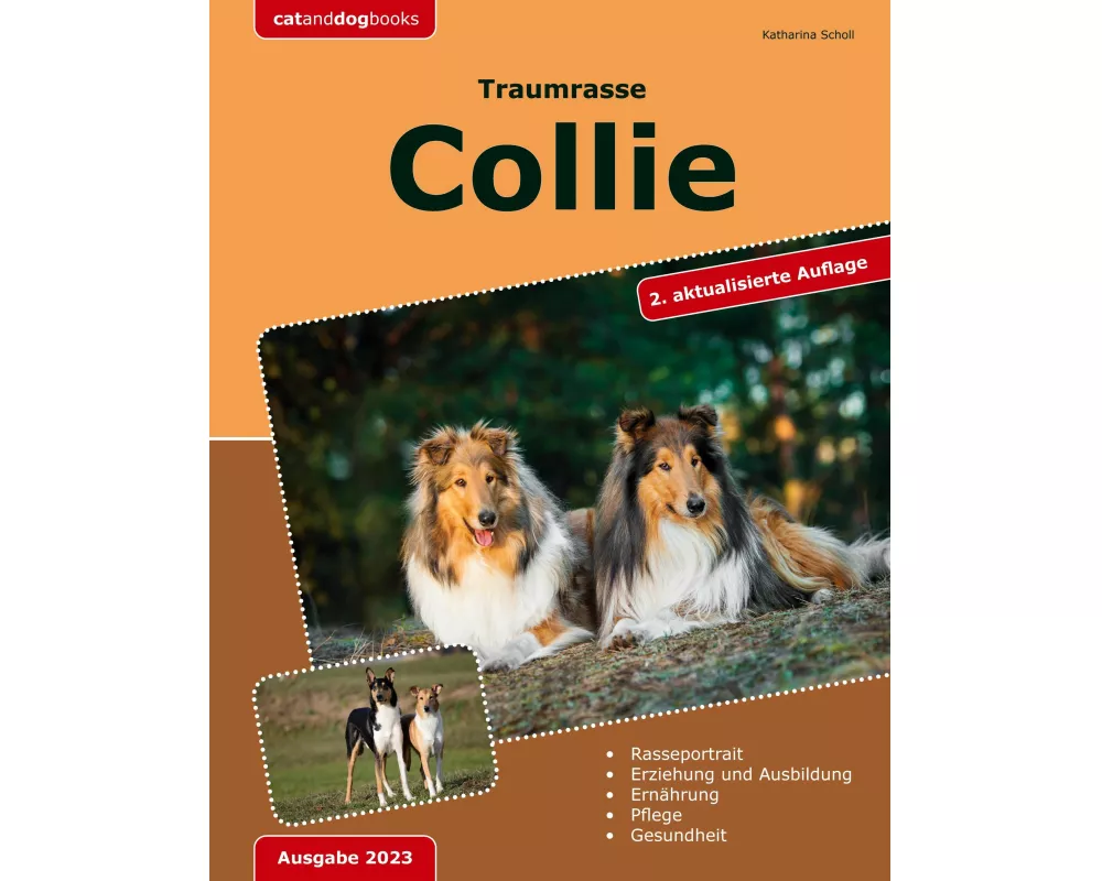 Traumrasse: Collie