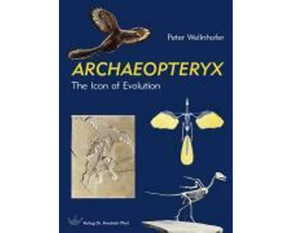 Archaeopteryx