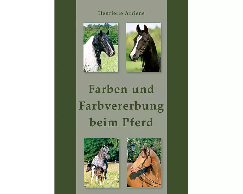 Farben und Farbvererbung beim Pferd