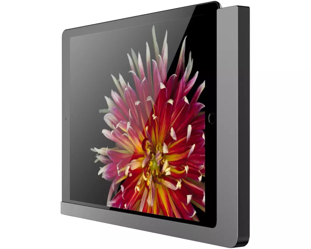 Viveroo Wandhalteurng free DarkSteel für iPad mini 6
