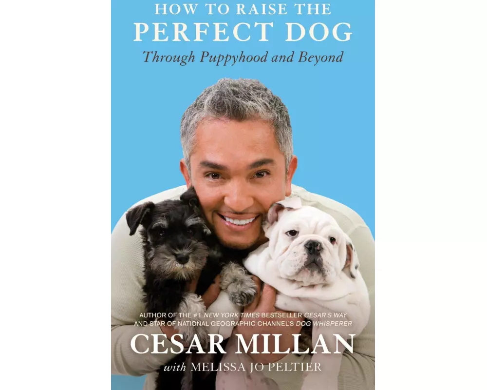 How to Raise the Perfect Dog