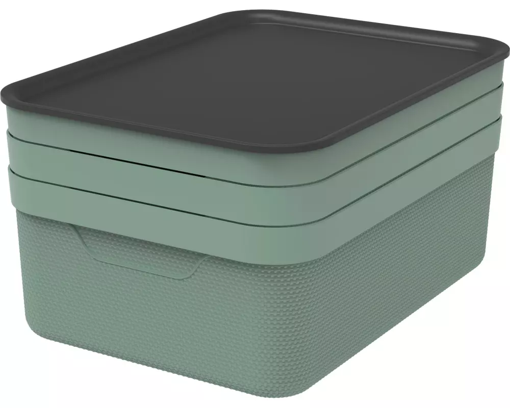 Rotho Aufbewahrungsbox JIVE Graugrün